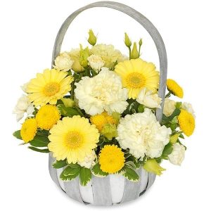 Basket - Florist Choice