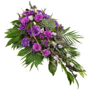 Violet Spray