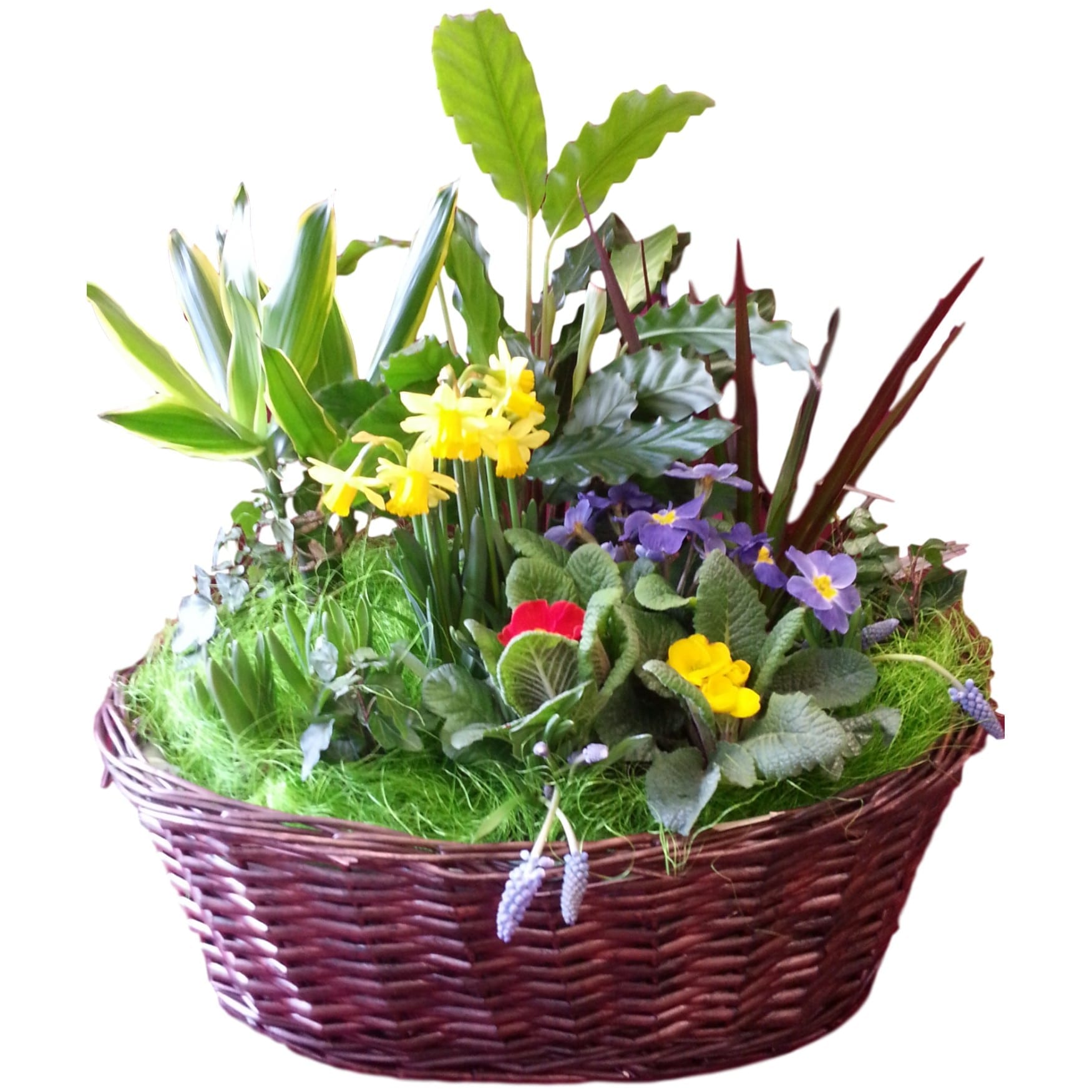 Spring basket discount