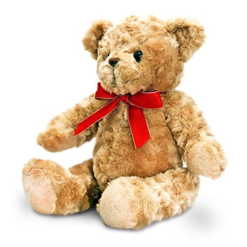 Valentines Teddy bear gift from witney florist