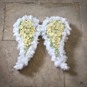 Graceful Angel Wings
